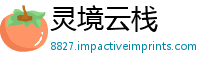 灵境云栈